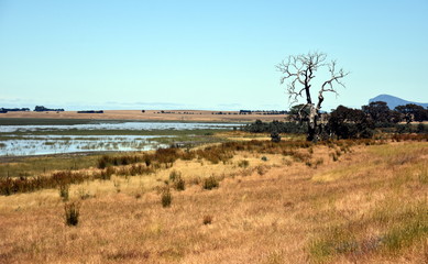 Fototapeta premium Lake Muirhead in Yarram Park, Grampians National Park Victoria Australia.
