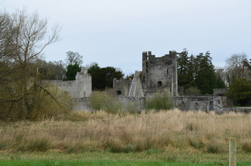 Stone Castle Ruins of Desmond Castle in Adare Ireland