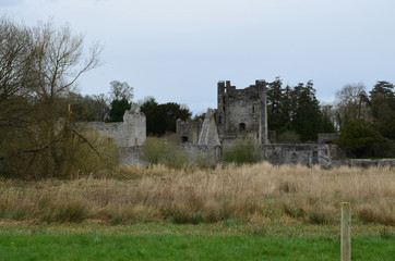 Tall Grass Growing in Field With Desmond Castle Ruins
