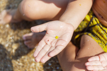 Yellow star in a small palm