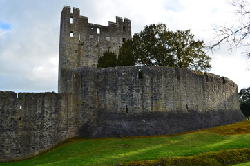 Round Castle Wall Surrounding Desmond Castle