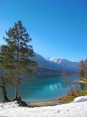 Lake Bohin, Slovenia