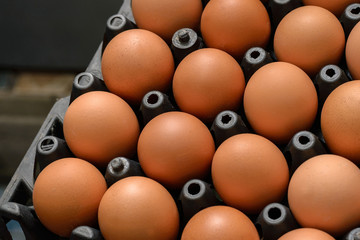 eggs on plastic food.