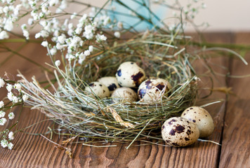 Obraz premium Quail eggs in nest of hay on wooden background