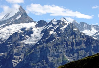 Berge rund um Grindelwald