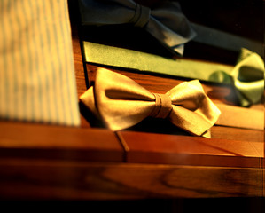 butterfly, garment accessories