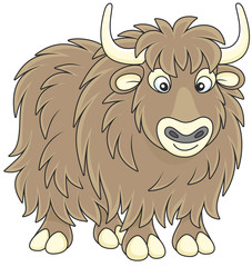 Yak 