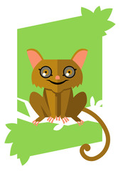 cute tarsier monkey on a tree