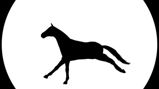 Black silhouette of a galloping horse. Alpha channel. 4K video.
