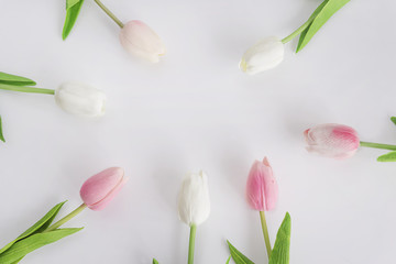 greeting card/frame of pink and white tulips on white background