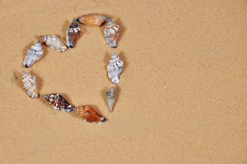 Hart shape made by sea shells on the beach. Present for valentines