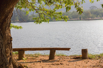bench beside lake and under tree - Powered by Adobe