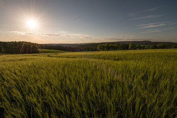 Sonnenuntergang in der Oberpfalz © Andi