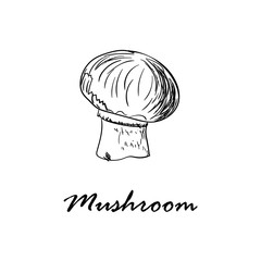 Hand drawn vector illustration of mushroom isolated on white