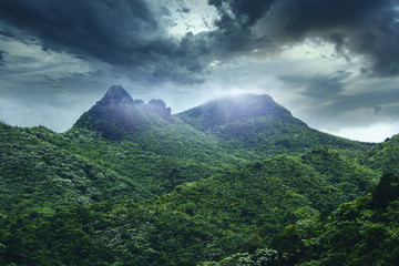 El Yunque National Forest - 136590941
