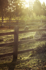 Closeup of wooden fence in the morning