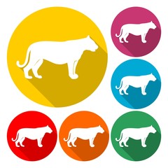 Panther, puma, wild cat icon - Illustration
