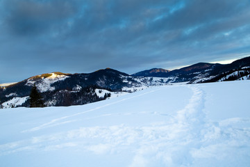 Mount Forest Beautiful winter panorama. Carpathian mountains