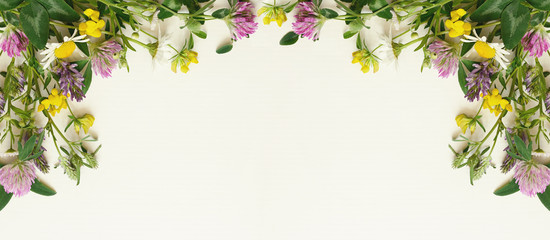 Wild flowers frame