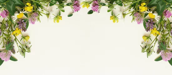 Gordijnen Wilde bloemen frame © Ortis