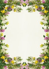 Wild flowers frame