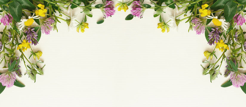 Fototapeta Wild flowers frame