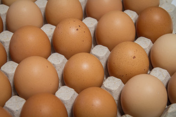 Organic Eggs
