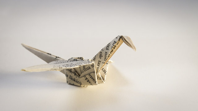 Paper crane origami