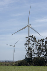 Wind Turbines Behind Trees