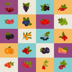 Set of color berries icons in cartoon style for web and mobile design