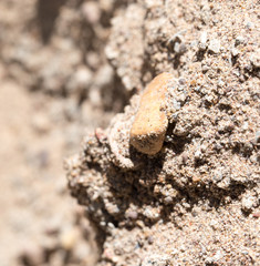 background of gravel and sand