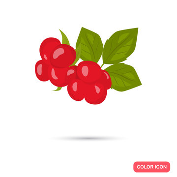 Stoneberry color icon. Cartoon style for web and mobile design