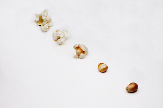 stages of preparation of popcorn on a white background