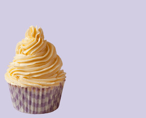 birthday vanilla cream cupcake in purple backgrounds
