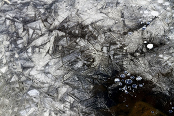Beautiful snow crystals under ice