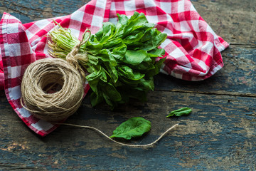 Organic food concept