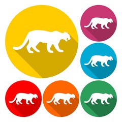 Panther, Cat icon design - Illustration