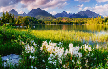 Majestic mountain lake in National Park High Tatra. Strbske ples