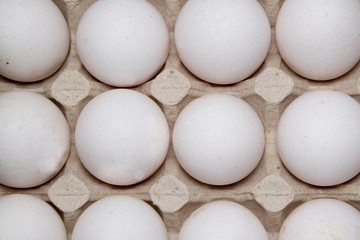 Eggs in paper tray on white background