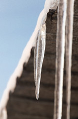 Icicles from the roof of the house