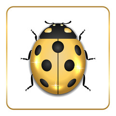 Obraz premium Ladybug gold insect small icon. Golden metal lady bug animal sign, isolated on white background. 3d volume bright design. Cute shiny jewelry ladybird. Lady bird closeup beetle. Vector illustration