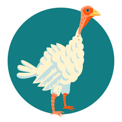 Young turkey funny vector illustration cartoon style