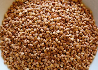 buckwheat seeds etail - 136598747