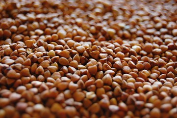 buckwheat seeds etail - 136598757