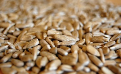 detail of sunflower seeds - 136598771