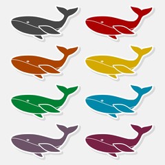 Naklejka premium Vector image of a big whale - Illustration