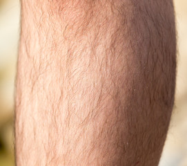 Fototapeta premium leg man. macro