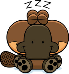 Cartoon Platypus Napping