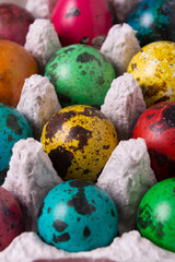 Color quail eggs on the paper container