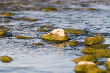 stones in the river as a backdrop
